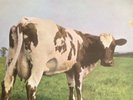 Fathers Day Gift PINK FLOYD ATOM HEART MOTHER NEW VINYL LP Original