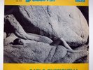 LA CALDA VITA Italian soundtrack 1964 CAM CMS 30-089 RARE LP RUSTICHELLI Erotic