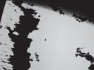 A Place to Bury Strangers: Exploding Head Vinyl LP