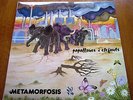 METAMORFOSIS Papallones i elefants PRIVATE PROGRESSIVE JAZZ ROCK ORIGINAL LP