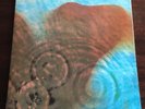 Pink Floyd Meddle Mobile Fidelity Sound Lab Vinyl