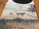 CALLAHAN, Bill - Sometimes I Wish We Were An Eagle - Vinyl (LP)