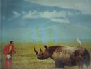Adrian Belew Lone Rhino KING CRIMSON, FRANK ZAPPA NEAR MINT Island Vinyl LP