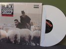 Black Sheep 