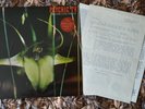 PSYCHIC TV - Dreams Less Sweet - Original LP Release w. Extra 12