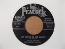 LITTLE AXE & THE GOLDEN ECHOES - MY LIFE IS IN HIS HANDS - PROMO 45