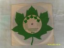 WINGS, GIVE IRELAND BACK TO THE IRISH,1972,ORIG SLEEVE(THE BEATLES) VG CONDITION