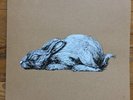 ROA time to exit year rabbit no banksy no obey lp vinyl record art street animal
