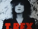 The Slider by T Rex vinyl LP 1972