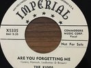 THE KIDDS Are You Forgetting Me/Drunk, Drunk, Drunk IMPERIAL X5335 PROMO DOO WOP