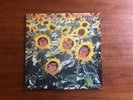 Sunnyboys ?– Individuals Vinyl LP Gatefold 1982 Original Australian Post Punk
