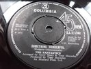 THE FANTASTICS- RARE IRISH 7