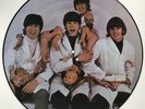 BEATLES: The Beatles Butcher Cover vinyl picture disc as Casualties