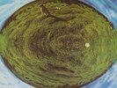 Mike Oldfield Hergest Ridge STILL SEALED NEW OVP Virgin Vinyl LP