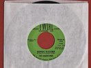 1966 THE JAGGED EDGE Garage Rock 45 TWIRL Midnight To Six Man / How Many Times