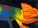 KRAUTROCK-LP- FRUMPY- ALL WILL BE CHANGED- ORG. PHILIPS-GERMANY- 1970-MINT