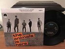 The Animals THE ANIMALS IS HERE ABKCO 8935-1 10” Record RSD 2013 NM/NM Shrink