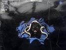 JOHNNY SHINES: Last Night's Dream LP (UK,BLUES HORIZON LABEL laminated jacket )