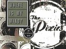 Where Is My Mind? A Tribute To The Pixies (1/2 Brown 1/2 Purple Vinyl) LP