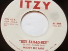 MICKEY LEE LANE....HEY SAH LO NEY....ITZY 6