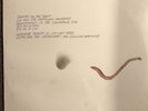 Guided By Voices- Propeller Lp 1st Press Handmade Robert Pollard #315/500 Sealed
