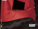 Storm Front - Joel, Billy - Rock & Pop Music Vinyl