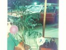 DEAF SCHOOL - Let's Do This Again Next Week - Vinyl (LP)
