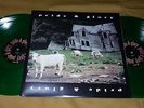 PRIDE AND GLORY Pride & Glory 2LP Green Vinyl ZAAK WYLDE Black Label Society NM