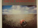 Bruce Springsteen Castaway 2-LP
