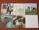 Pink Floyd Vinyl 6 Alben | The Wall | Ummagamma | Relics | Meddle | Saucerful...