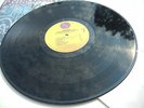 RAMONES ? SUBTERRANEAN JUNGLE ? 1983 M- IN SHRINK STUNNING TOPCOPY 1-23800