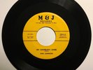 DAN JOHNSON My Ramblin's Over VG++ RARE OHIO ROCKABILLY 1958 Bopper HEAR