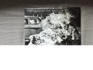 Rage against the machine lp (Music on vinyl Pressung) lp