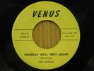 Royals 45 Someday We'll Meet Again / I Want You...   Venus VG++ doo wop Detroit