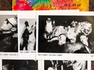 Red Lorry Yellow Lorry • Blow UK LP + 5 OFFICIAL B&W promo pics + press release