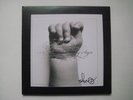 Atmosphere- The Family Sign 2xLP Ltd Clear Vinyl SIGNED BY SLUG  2011 HIP HOP NM