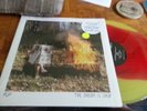 PUP COLORED LP THE MENZINGERS IRON CHIC NOFX LAWRENCE ARMS JOYCE MANOR LAGWAGON