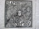 Slapshot make America hate  again Tricolor limited to 300 Vinyl neu