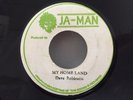 DAVE ROBINSON/MY HOME LAND JA-MAN ROOTS ROCKERS REGGAE 45