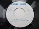 GEORGE WHYTE & THE RIGHTEOUS FLAMES - TEK BUS MEK FUS 7'' HUMAN RIGHTS VG+
