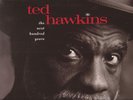 Ted Hawkins - The Next Hundred Years ( LP - EX )