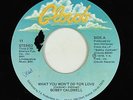 70s Soul 45 - Bobby Caldwell - What You Won't Do For Love - Clouds - VG++ mp3
