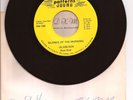 Glass Sun Vintage Rare Vinyl 45 RPM Garage Band Record / Signed