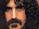 Frank Zappa - Apostrophe (Vinyl Used Like New)
