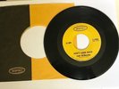 Rare 1966 THE REMAINS Don't Look Back / Me Right Now - Vinyl 7