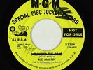 Northern Soul 45 - Ric Martin - I Traveled The Road - MGM - mp3