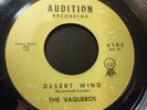 The Vaqueros Desert Wind / Echo 45 Audition Recording 6102 Rochester Garage surf