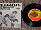 The Beatles I Want To Hold Your Hand Picture Sleeve With 7