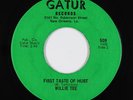 Northern Soul/Funk 45 - Willie Tee - First Taste Of Hurt - Gatur - VG++ mp3