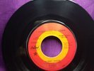Funk?Soul? Bobby Sheen? I don't have to dream/ She taught me what love really is